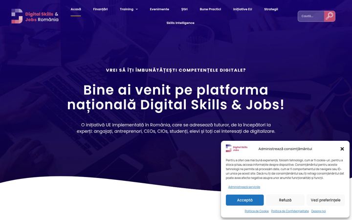 Screenshot of digital-skills-romania.eu