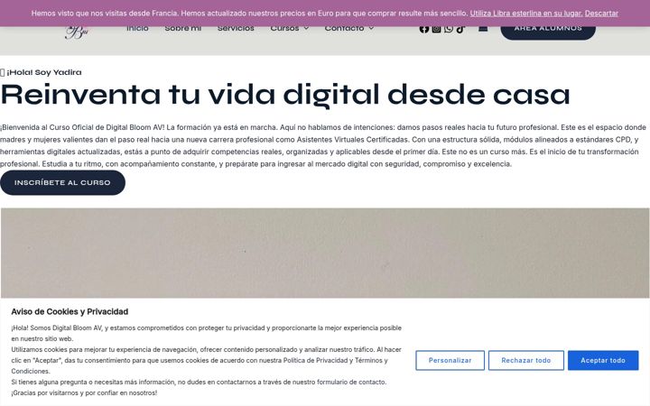 Screenshot of digitalbloomav.com