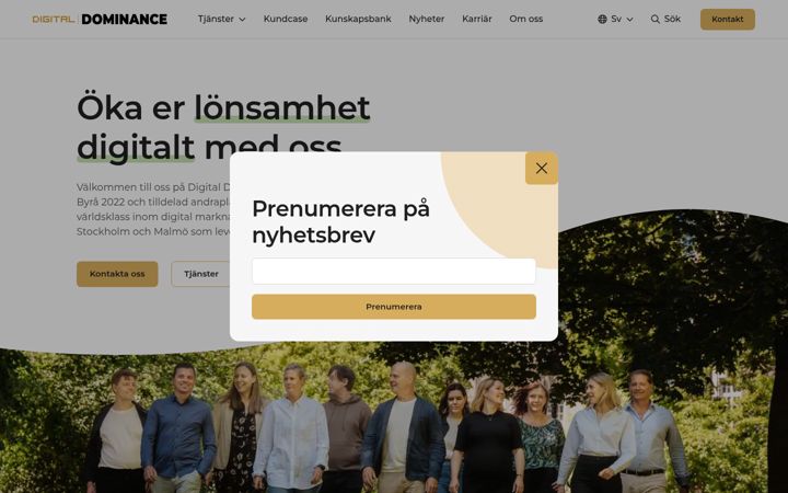 Screenshot di digitaldominance.se