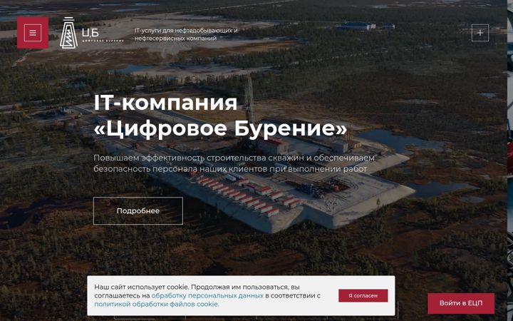 Screenshot stránky digitaldrilling.ru