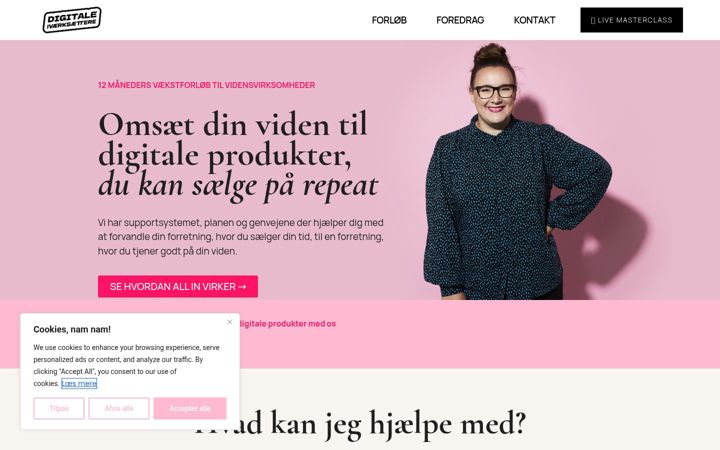 Captura de pantalla de digitaleivaerksaettere.dk