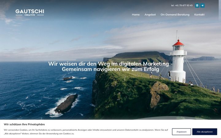 Screenshot of digitales-marketing.ch