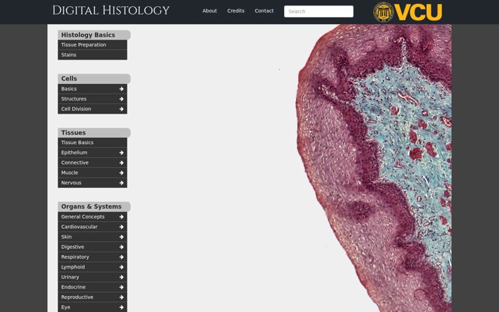 Screenshot of digitalhistology.org