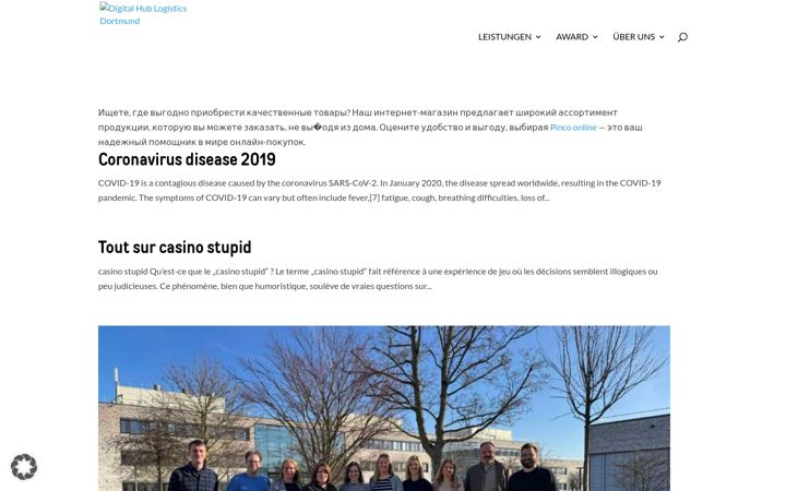 Skärmbild av digitalhublogistics.de