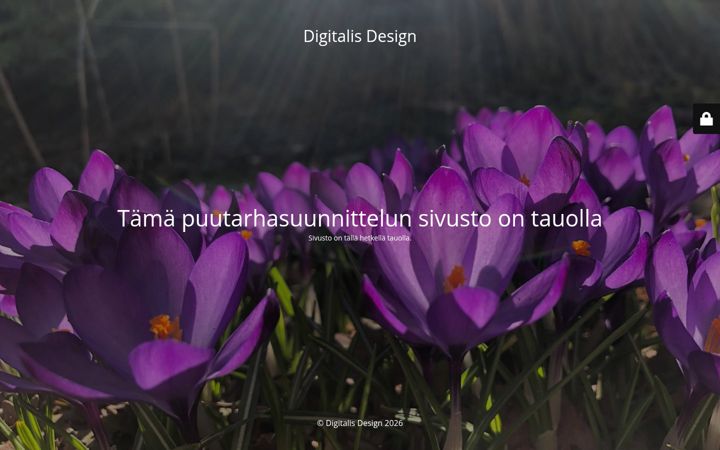 Screenshot di digitalisdesign.fi