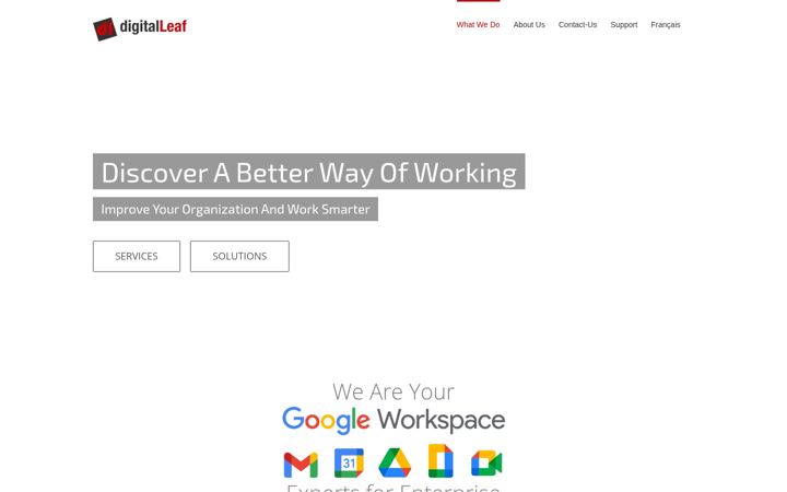 Screenshot του digitalleaf.ca