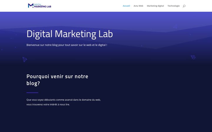 Capture d'écran de digitalmarketinglab.fr