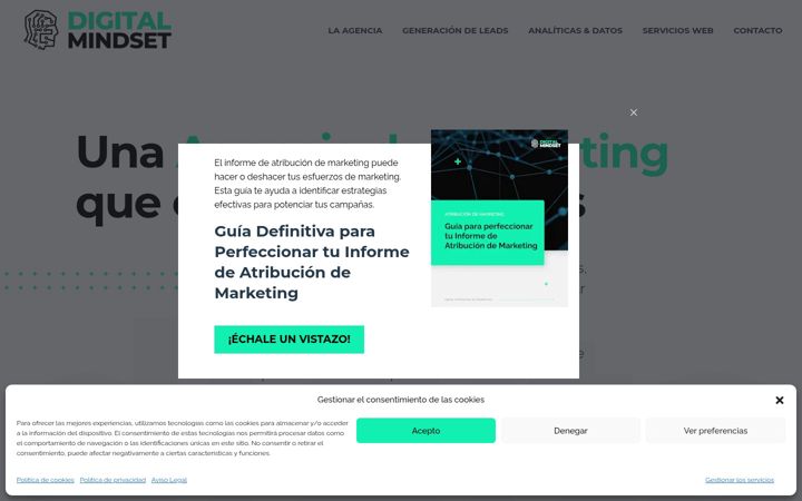 Screenshot of digitalmindsetco.com