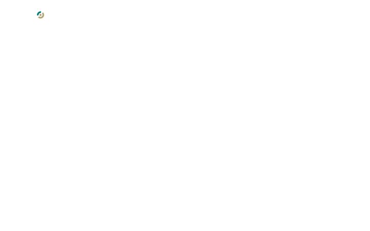 Skærmbillede af digitalpreventor.com