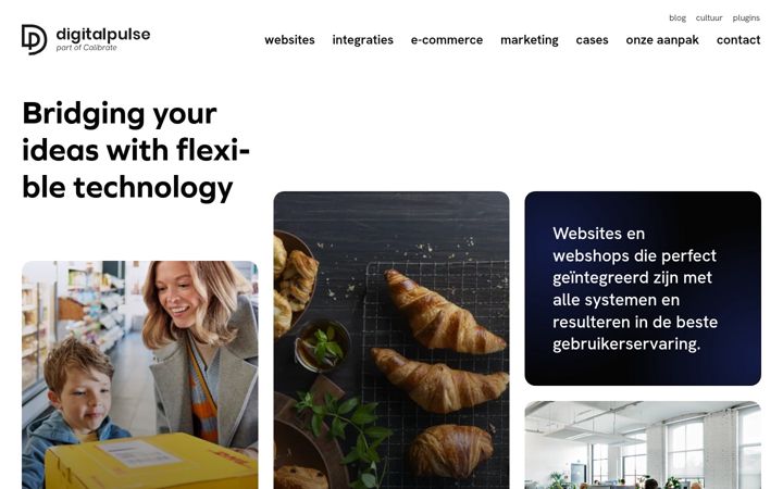 digitalpulse.be