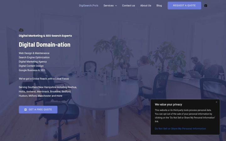 digitalsearch.pro