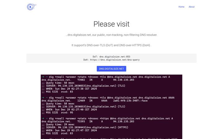 Screenshot of digitalsize.net