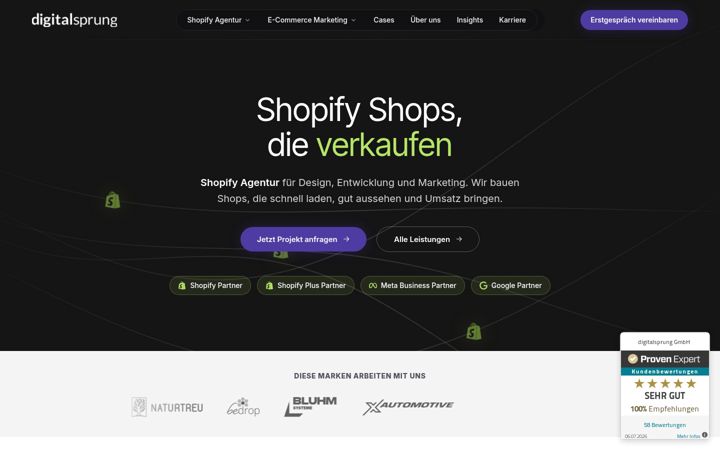 Screenshot of digitalsprung.de
