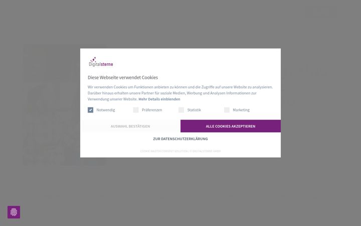 Screenshot of digitalsterne.de