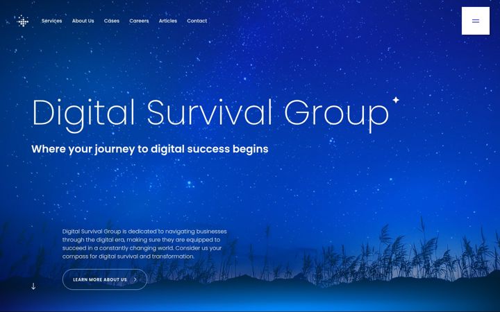 digitalsurvivalgroup.com