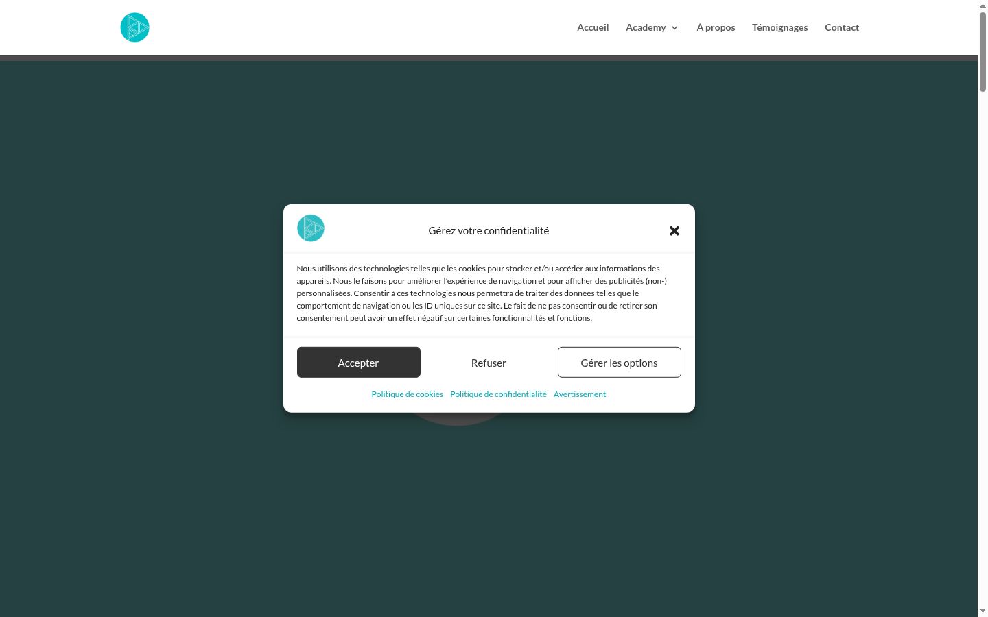 Screenshot of the consent banner shown before any interaction