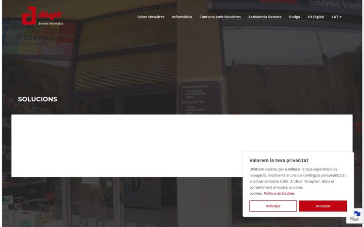 Screenshot of digitmollerussa.com