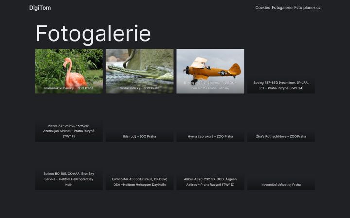 Screenshot of digitom.org