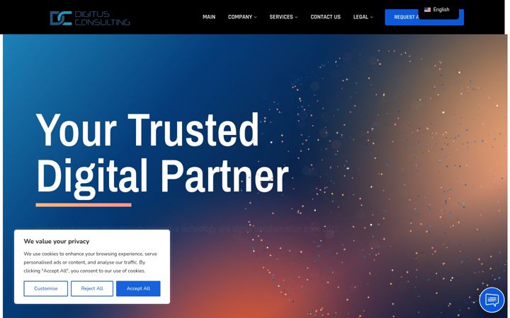 Screenshot of digitusconsulting.com