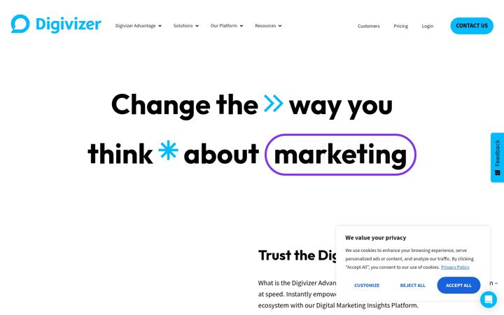 Screenshot of digivizer.com
