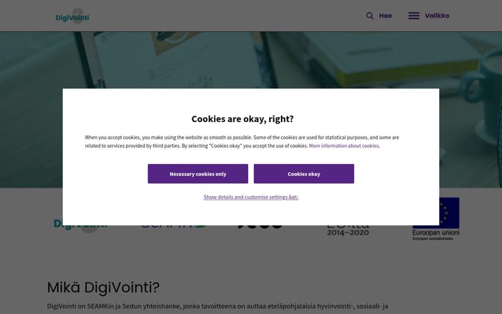 digivointi.fi