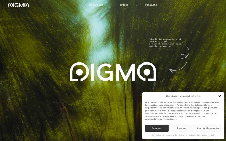 Screenshot of digmadigital.com