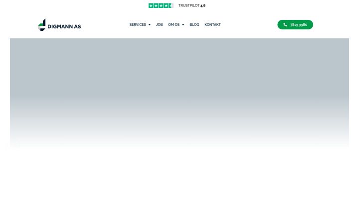 Screenshot of digmann.dk