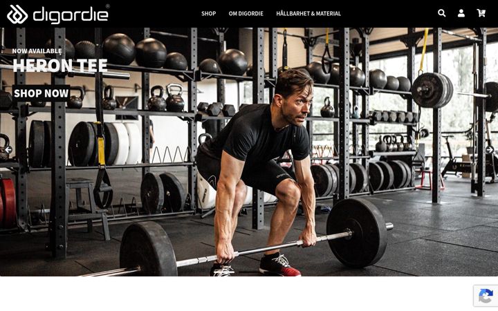 Screenshot of digordie.com