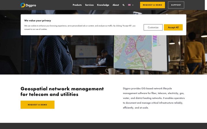 Screenshot of digpro.com