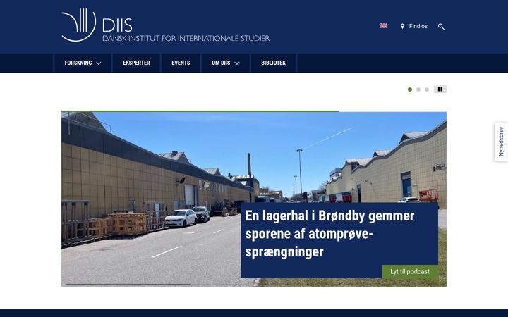 Screenshot of diis.dk
