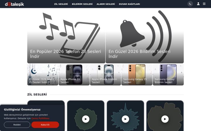 Screenshot of dijitalesik.com