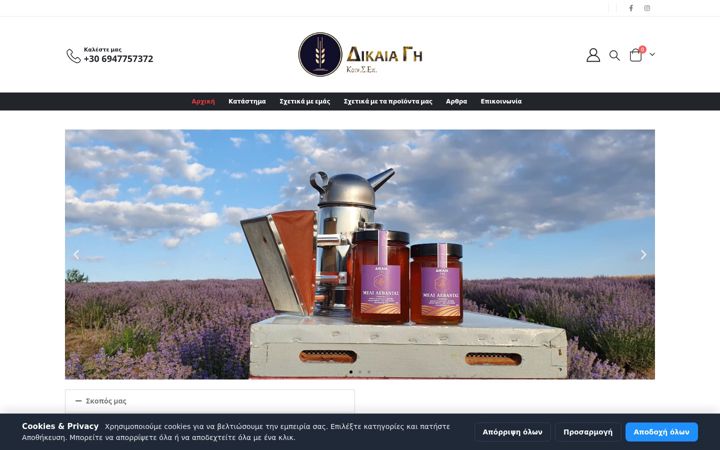 Screenshot of dikaiagi.com