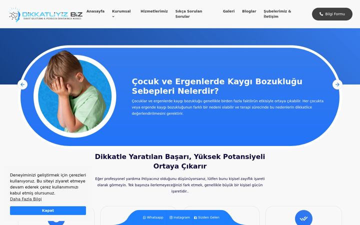 Екранна снимка на dikkatliyizbiz.com.tr
