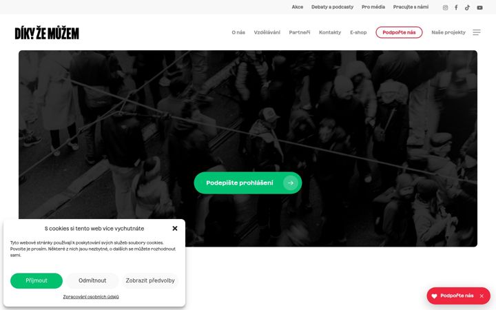 Screenshot ta' dikyzemuzem.cz