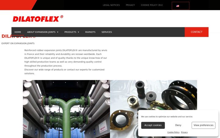 Screenshot of dilatoflex.com