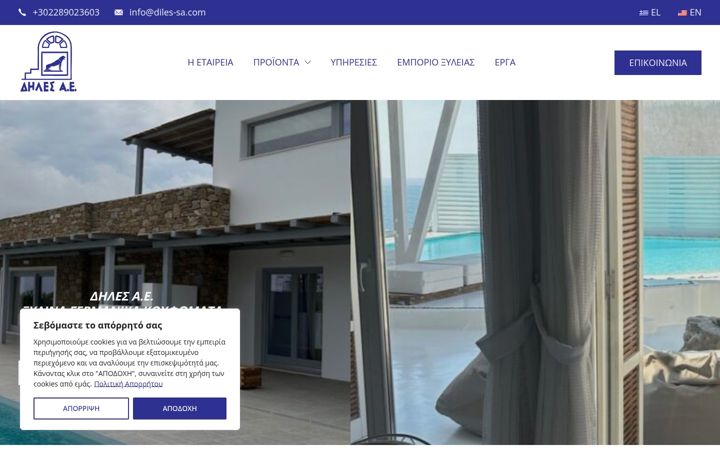 Screenshot of diles-sa.com