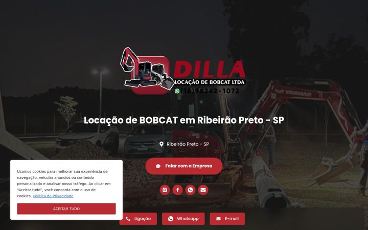 Captura de pantalla de dillalocacoesbobcat.com.br