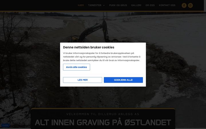 Captură de ecran a dillerudanlegg.no