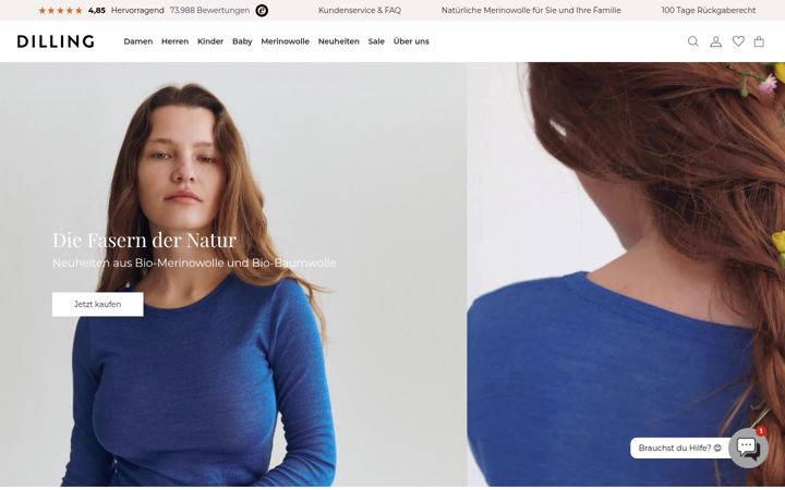 Screenshot of dilling.de