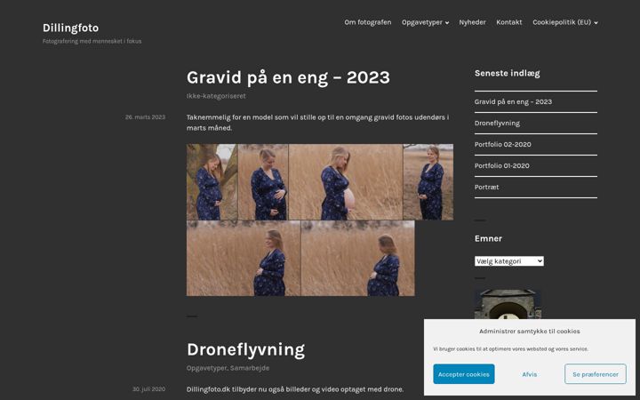 Screenshot of dillingfoto.dk