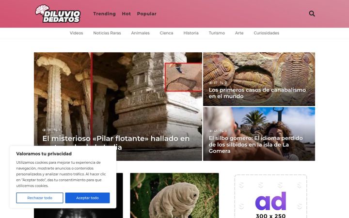 Screenshot of diluviodedatos.com