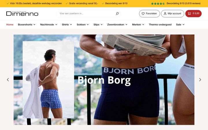 Zrzut ekranu dimenno.nl
