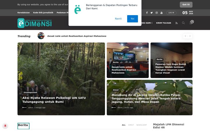 Screenshot of dimensipers.com