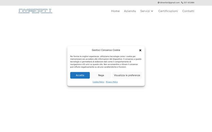 Screenshot of dimertisrl.it