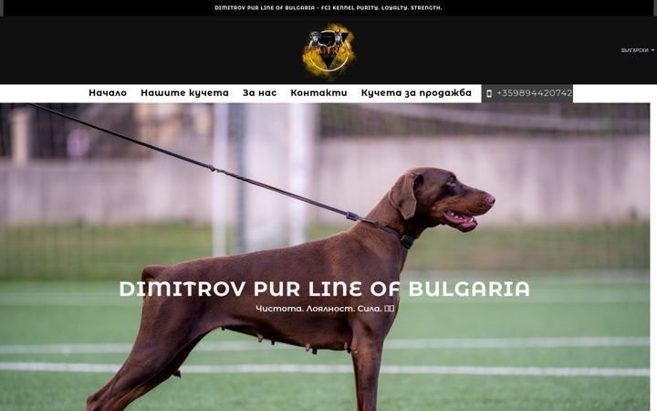 Screenshot of dimitrovpurline.com