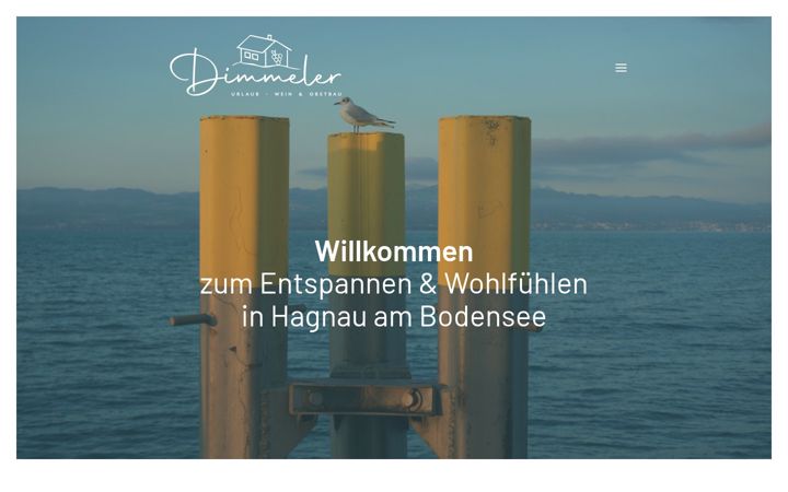 Screenshot of dimmeler.de