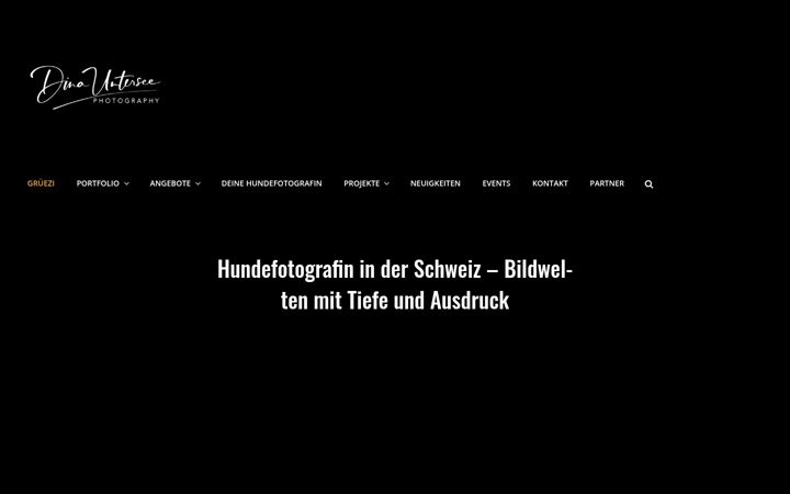 Screenshot of dina-untersee.ch