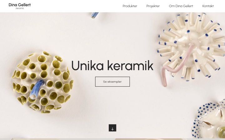 Screenshot of dinagellert.dk
