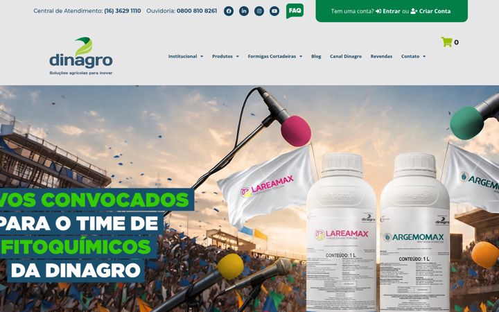 Captura de pantalla de dinagro.com.br