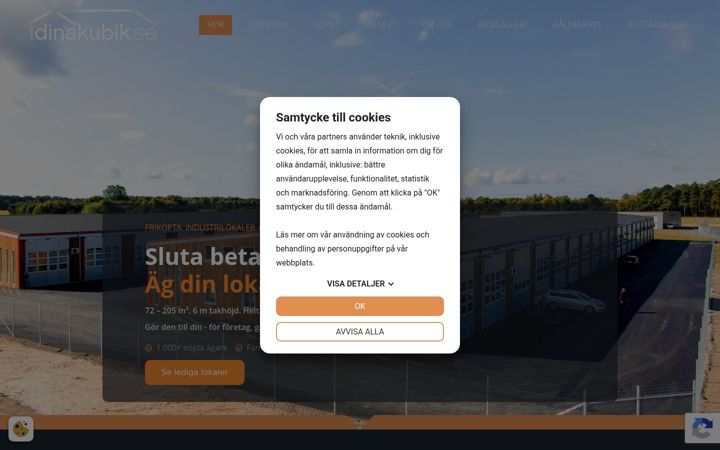 Skærmbillede af dinakubik.se